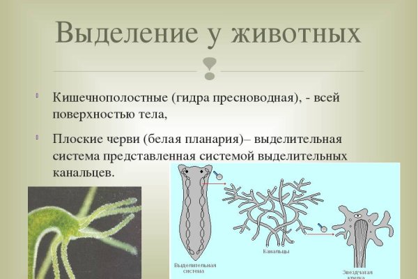 Ссылки на кракен зеркала